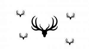 Zoom Out Animation Deer Horns Symbol Stock Footage Video (100% Royalty-free) 3424507367 | Shutterstock