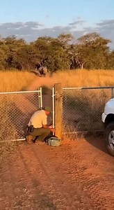 That push came out of nowhere 😳. This video is made with AI for education purposes. | Penguin Rescue AI