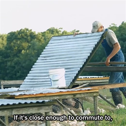 He Made $60,000 in 6 Months With Chickens! | How to Quit Your Job and Start Farming! | Abundant Permaculture