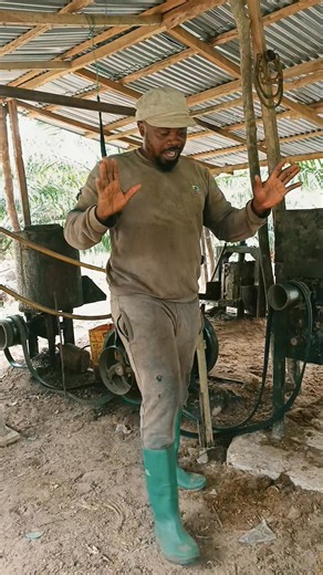 1.1K views | Selecting of kernel in the mill | Ifaluyi farm limited | Facebook