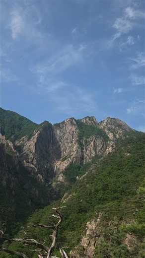 2026 05 24 (02 ) 설악산 토왕성폭포 국내최장 화채봉에서 흘러 내리는 790m 폭포 여름풍경 #폭우 #폭포