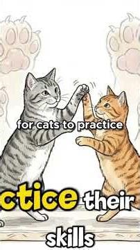 What Cats Are Really Saying When They Bite?