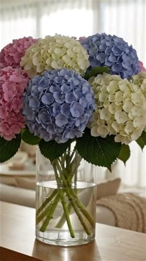 Send Hydrangeas 🌍 | Fresh Flower Delivery