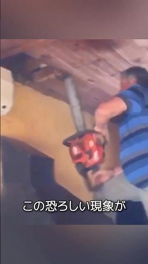 Chainsaw kickback