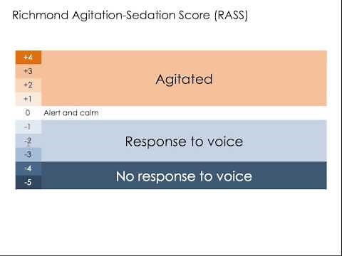 Richmond Agitation-Sedation Score (RASS)
