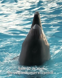 5.9K views · 3.2K reactions | ¡El Niño y la Netflix!  Envíanos el dibujo de tu peque y podrá salir en la plataforma este 30 de abril.  | Netflix Familia | Facebook