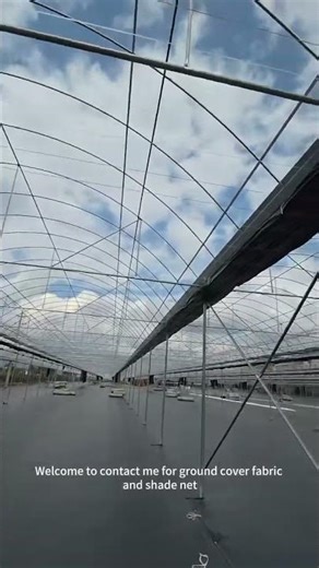 PP ground cover /weed control fabric on-site installation effect