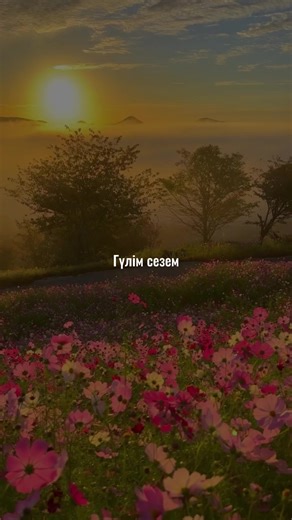 … #CapCut#олкөктеморалмайды♥#музарт#muzart#қазақшаәндер