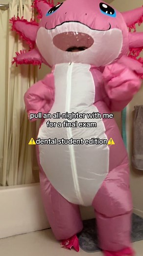 Dental Student All-Nighter Study Routine | UCLA Dental School