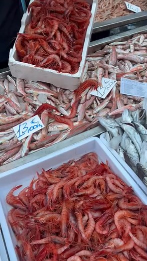 La qualità da Lorenzo prenota al 340 60 94 386 servizio a domicilio per catania e provincia #motopescagiacomopagre #pescheriadicata #piazzaalonzodibenedetto #motopescamarialucia #sindacodicatania #gamberorosso #PescheriaDiCatania #Catania #ortigia #MaltempoSicilia | Motopesca Marialucia