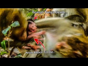 Real Reason Make Tonya Death Aron Drag Tonya From Toma Chest Than Bit On Neck|Tonya Death Suddenly
