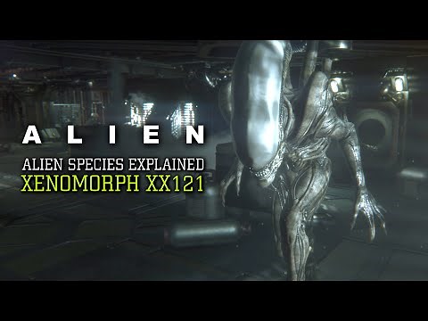 The Xenomorph XX121 - Alien Species Explained