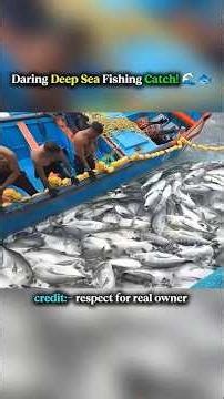 Deep Sea Fishing | Net Fishing | Bottom Fishing | Open Sea Fishing