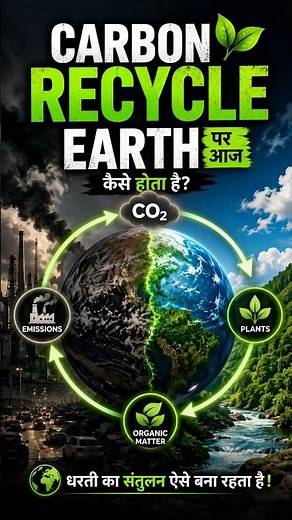 prithvi || Carbon Cycle Explained 🌍