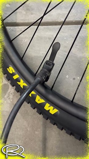 New Maxxis DISSECTOR V2