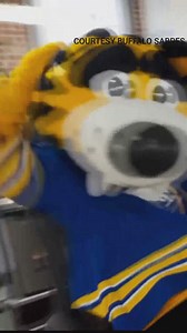 Sabres introduce new service pup