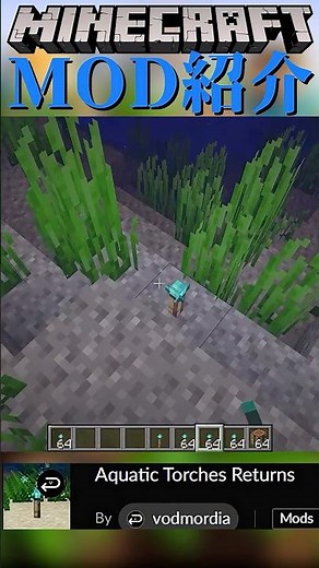 【Minecraft】水の中に設置できる松明をついかするMOD『Aquatic Torches Returns』【MOD紹介】#shorts