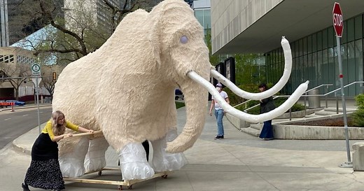 Life-sized mammoth moves through downtown Edmonton