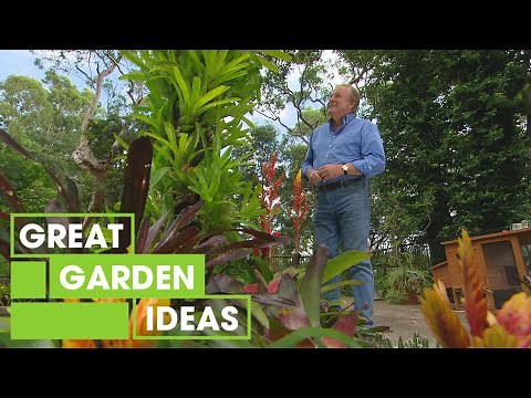 How to Grow Bromeliads | GARDEN | Great Home Ideas