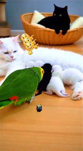 Parrot in Charge: Roasting the Cats and Sorting the Kittens