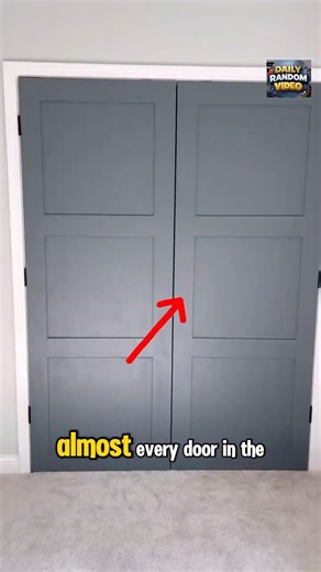 Raised Door Panel #shorts #shortvideos #amazing