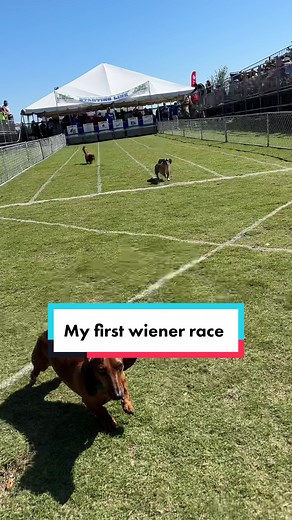 Wade’s World on TikTok