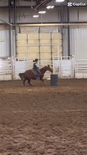 Our third barrel 😍 #gymkhana #equestrianjourney #chestnutmare #barrelracing #fypシ #viralshort