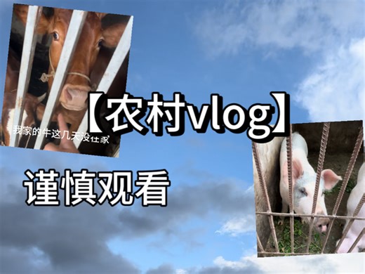 看完这条vlog你绝对想像不到我主页是什么样的