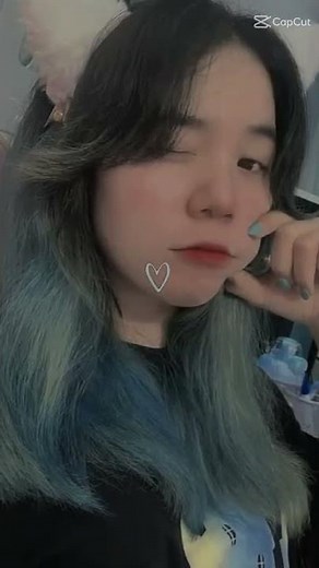 tik tok sammy đào và mèo simmy