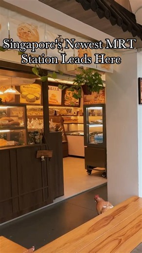 Singapore's Newest MRT Station Leads Here