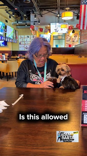 15K views · 34 reactions | Saw this at the restaurant #fblifestyle | Adam Barta | Facebook