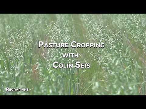 Pasture Cropping with Colin Seis