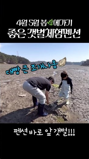 갯벌체험 가능한 남해 펜션 #가족여행 #벚꽃축제 #아이들이랑여행 #체험 #육아 #육아일상 #육아정보공유 #갯벌체험 #조개잡기 #남해갯벌 #서해갯벌 #남해맛집 #사천 #남해여행