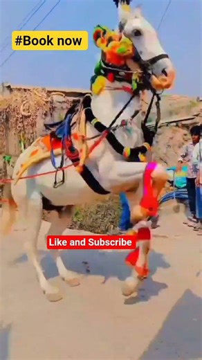 #funny #shorts #Viral dance #viral #viralvideos