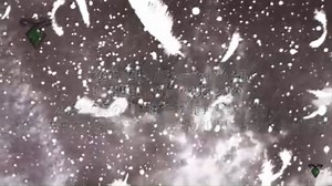 7.1K views · 74 reactions | Neon Genesis Evangelion Anima - Audio Español - Capítulo 3 Los Caídos | Tenshi Mex | Facebook