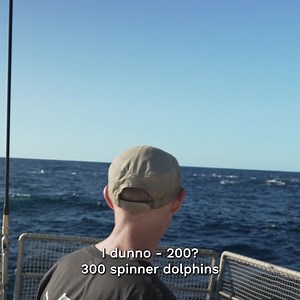 1.5K views · 2K reactions |  BREAKING  Greenpeace activists have...