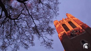 47K views · 2.8K reactions | You're forever a Spartan. | Michigan State University | Facebook