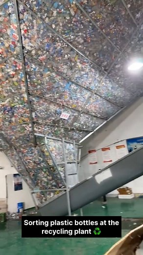 Watch how plastic bottles are sorted at a recycling plant using advanced machinery and manual labor. Each bottle is separated by color and type to ensure high-quality recycling. This process helps reduce waste and protect the environment. ♻️🌍 #RecyclingPlant #PlasticRecycling #WasteManagement #EcoFriendly #Sustainability #RecyclingProcess #GoGreen #SaveEarth #PlasticWaste #RecyclingIndustry #scrabuyeruae #uk #usa #230k | Scrap Buyer UAE