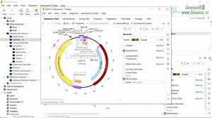 Geneious 如何查看序列和文件