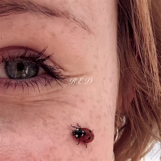 Fanfiction Journey: Creating a Ship in 2021