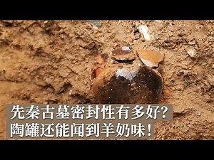 西北地区数量最多 保存最为完好的先秦时期墓葬群！青海本土考古学文化研究！《探索·发现》2024考古进行时 第三季 青海夏尔雅玛可布遗址发掘纪实（一）丨 中华国宝