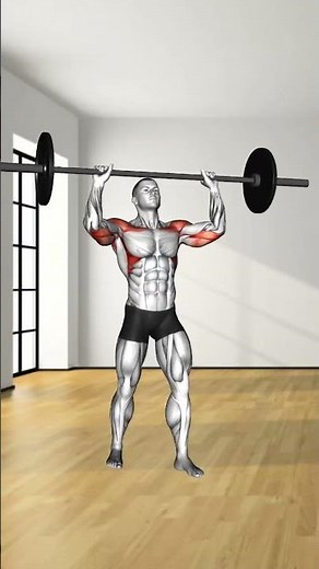 5 compound Movement you should know #workout #compound #exercise #benchpress #deadlift #shoulder