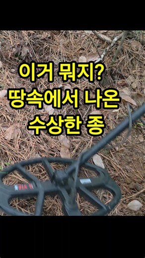 What is this? A suspicious creature found underground #MetalDetector #Hobby #Treasure