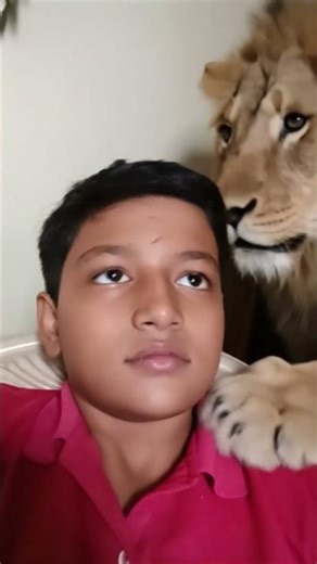 MY pet lion with graphis