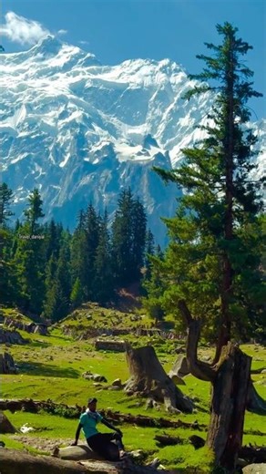 Beautiful Forest In The World 🌎 #nature