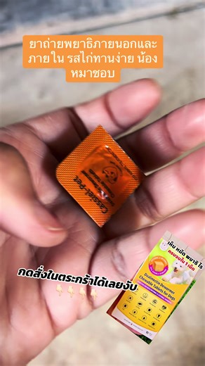 เห็บ หมัด พยาธิ ไร ครบจบใน 1 เม็ด EXTERNAL & INTERNAL 99% DOUBLE DEWORM Dualmectin Dewormer Chewable Tablets for Dogs EFFECTIVE FOR BOTH INTERNAL & EXTERNAL PARASITES Whipworms Hookworms Roundworms Heartworms Dog Flea Cat Flea Sarcoptic Mite Demodex Mite Tick Brown Dog Tick Longhorned Tick Hedgehog Tick THE PET CARE CHOOSE CASSIEL-PET 10 Tablets Box