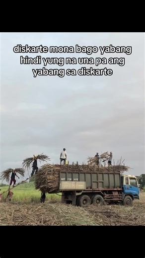 boss jessie (@john.pool5)’s videos with original sound - 𝖏𝖎𝖗𝖔