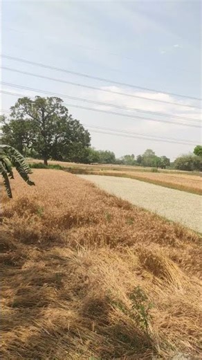 bbbbbbbbbbbbbbbbbbbbbbbbbbb