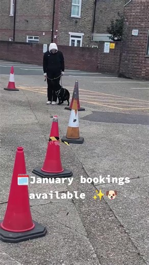 From distraction to connection 🐾🧠Working on focus, listening and communication, on leash and off leash This is the kind of work I do with dogs who struggle to stay engaged outside🌿 Every dog is different, and training isn’t about perfection. it’s about building things step by step, in a way that actually works for both the dog and the owner 🤍 Reach out to book your session ✨ Training with Pawpose January bookings available 📅🐶 #dogtraining #booknow #dogtransformation #dogtrainer #obediencet