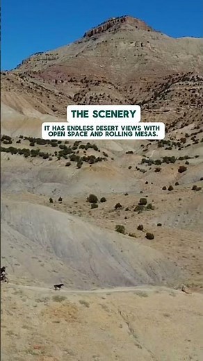 You need to ride this MTB trail in Fruita Colorado